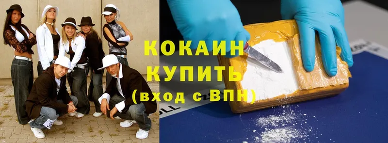 Cocaine Fish Scale  МЕГА tor  Камешково 